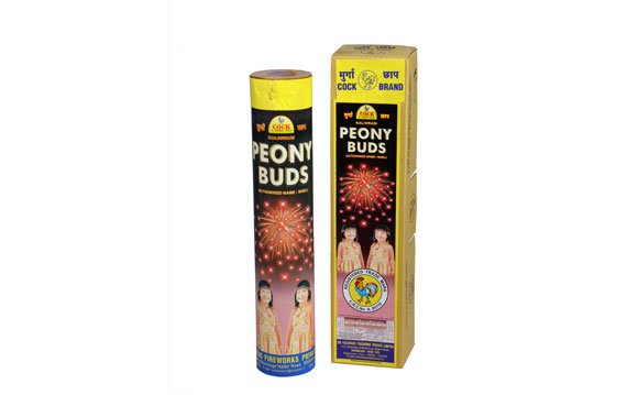 PEONY BUDS – Cock
