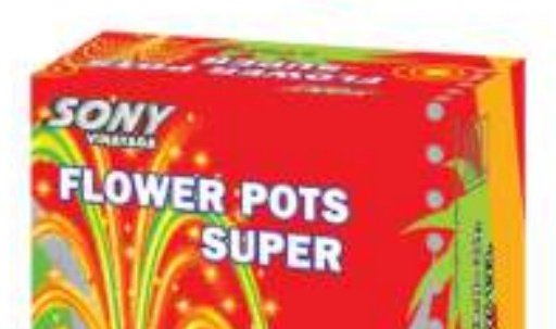 Flowerpots Special – SONNY
