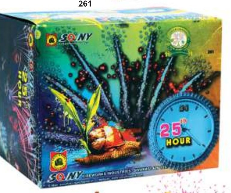 25th Hour – SONNY