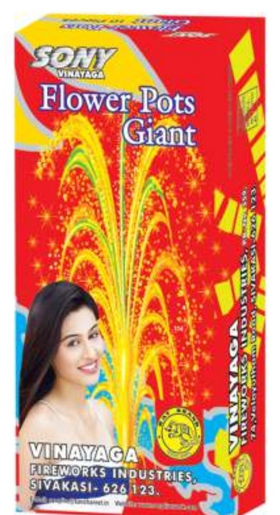 Flowerpots Giant – SONNY