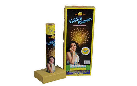 GOLDEN MINNOWS – Cock
