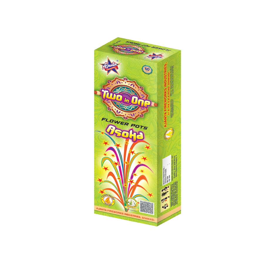 2 IN 1 Flower Pots Asoka – AJANTA