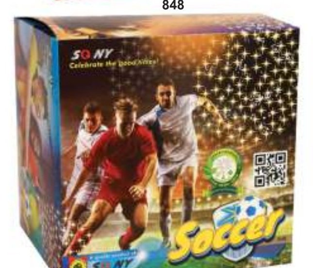 Soccer – SONNY Sky Shot