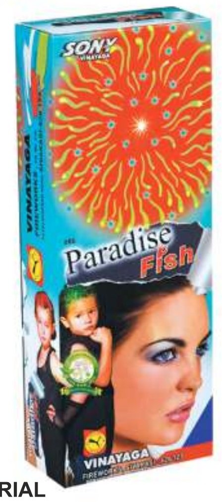 Paradise Fish – SONNY