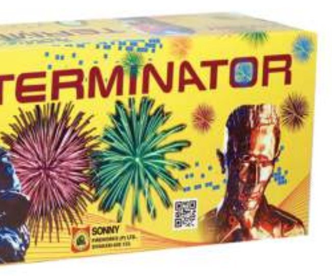 Terminator – SONNY Sky Shot